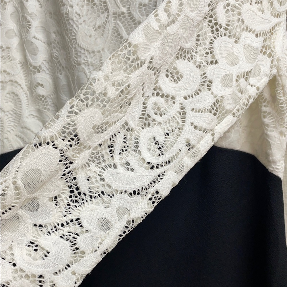 Mlle Gabrielle Black and White Lace Long Sleeve Dress - Picture 4 of 8
